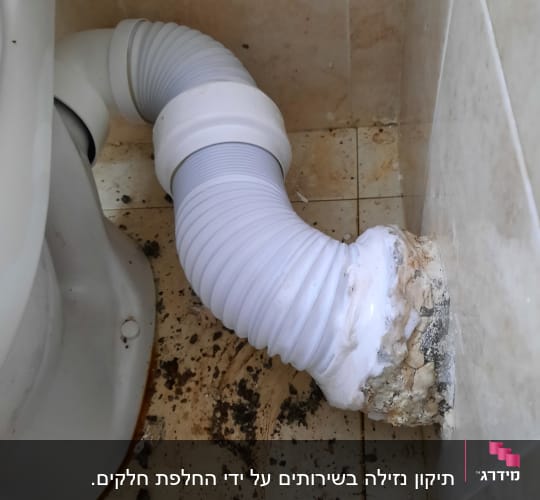 צינור גמיש מחובר לאסלה עם לכלוך על הרצפה